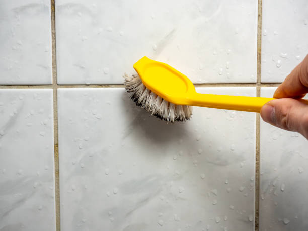 Best Office Mold Removal Services  in Monroe, WI