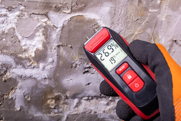 Office Mold Removal Services in Monroe, WI